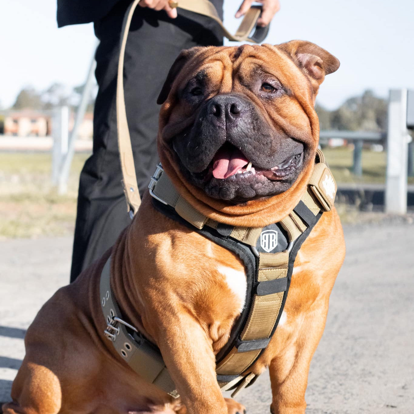 SUPA TUFF Heavy Duty Dog Harness Desert Wolf Durable Fit