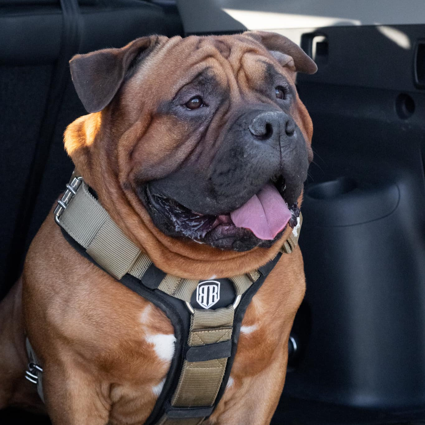 SUPATUFF® Dog Harness Heavy Duty Desert Wolf