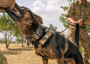 SUPATUFF® Strong Dog Harness Camo (Regular Fit)