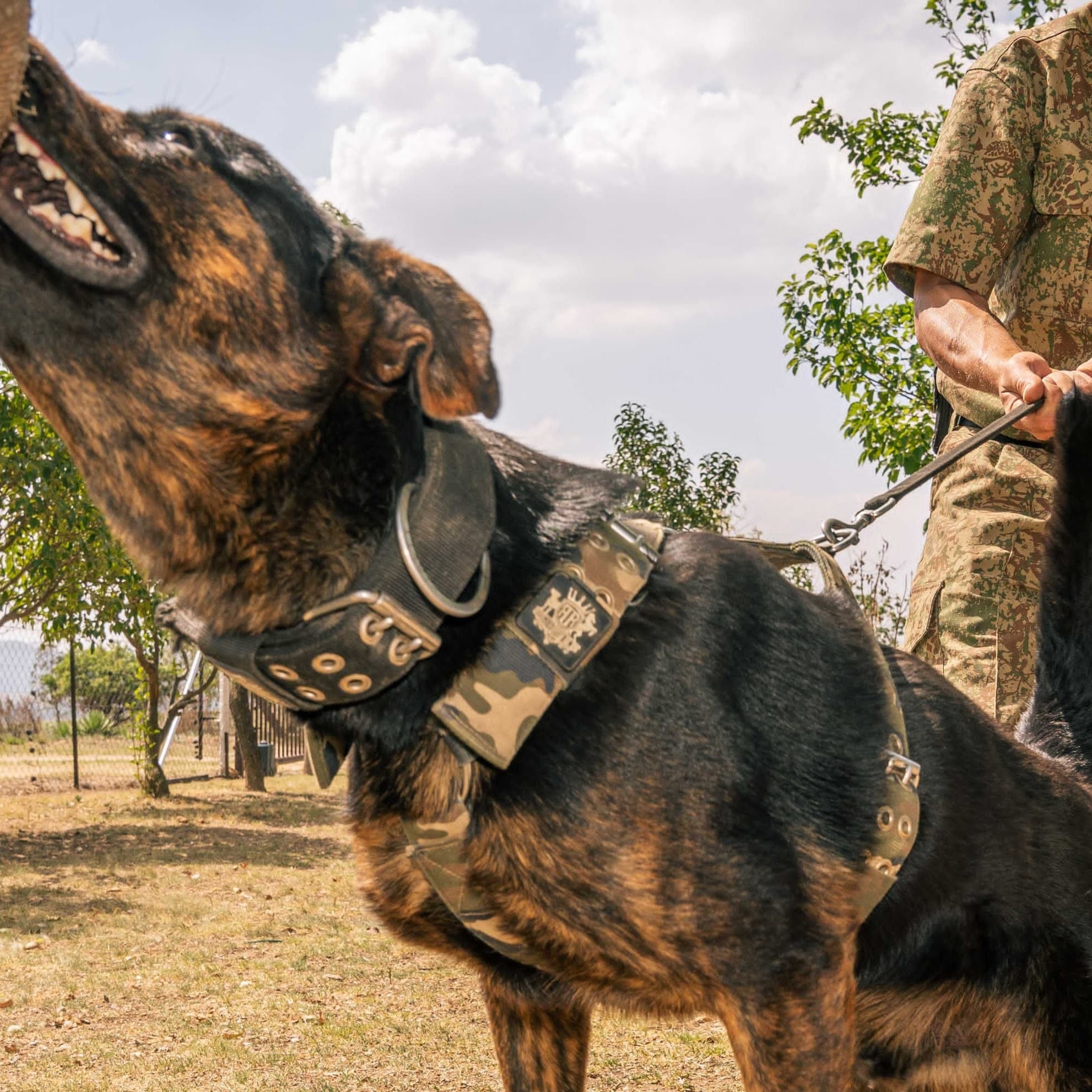 SUPATUFF® Dog Harness Heavy Duty Camo (Wide Fit)