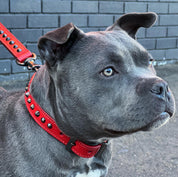 Hand Made Leather Dog Collar - Ruthless Red & Black (Slim Fit)