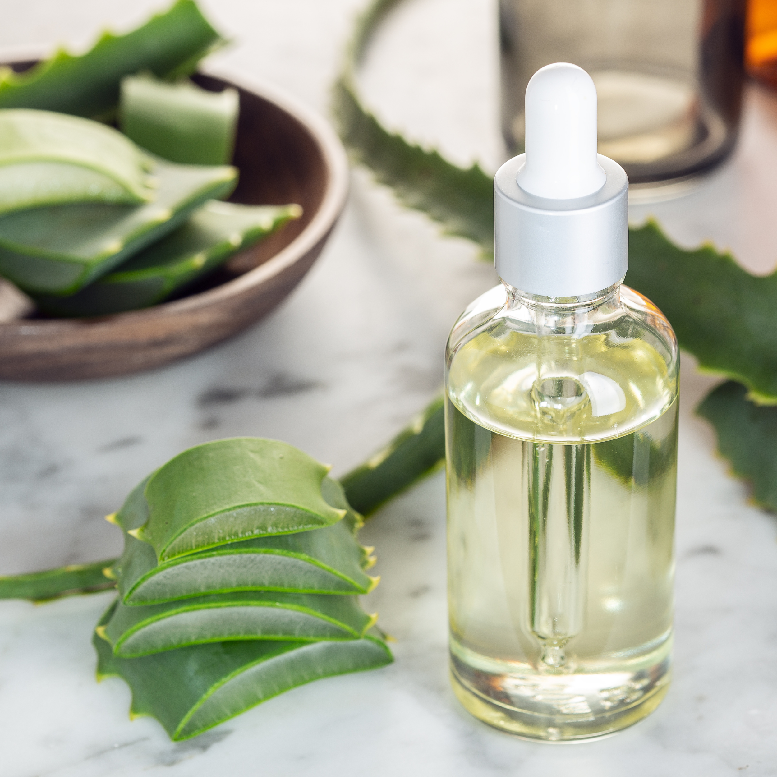 Aloe Vera