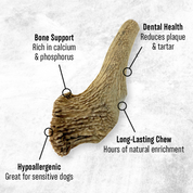 Deer Antler Chews