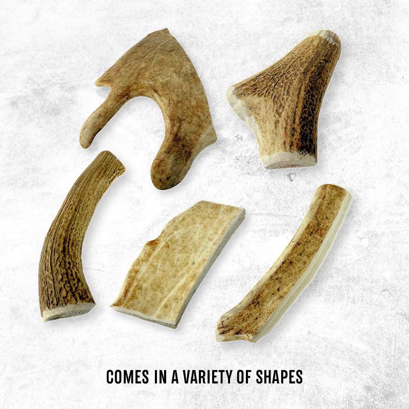 Deer Antler Chews