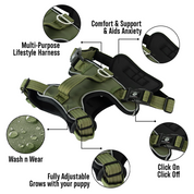Dog Harness - Active X Green