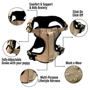 Dog Harness Active X Sahara