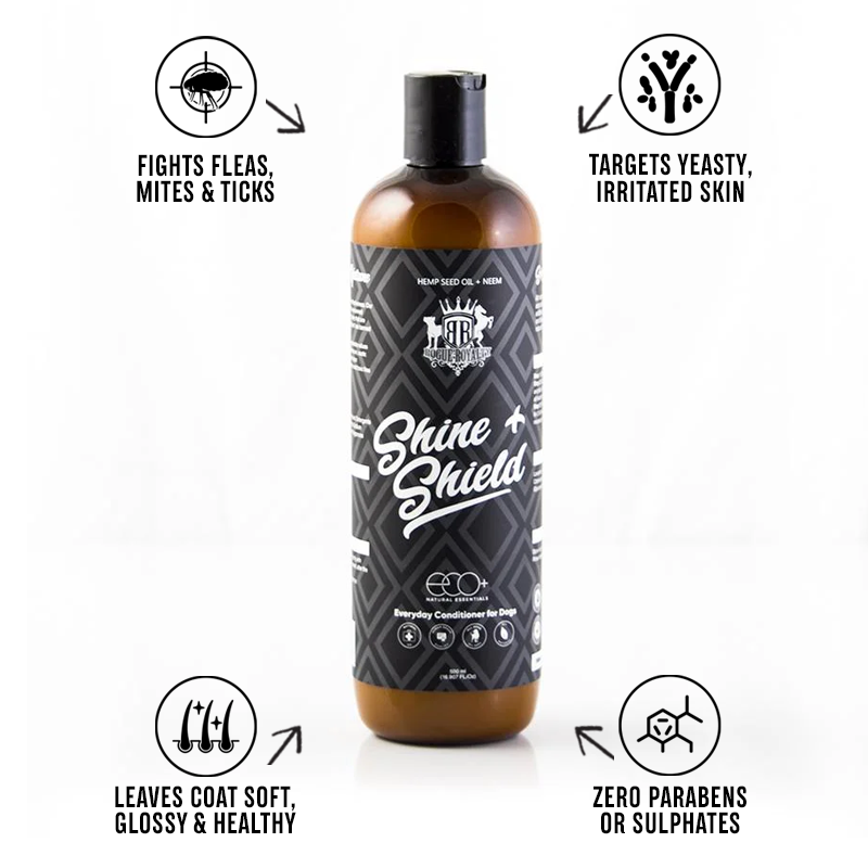 Flea & Yeast Conditioner for Dogs | "Shine & Shield"