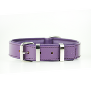 Handmade Leather Dog Collar Classic Purple & Chrome (Regular Fit)