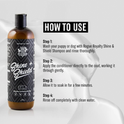 Flea & Yeast Conditioner for Dogs | "Shine & Shield"
