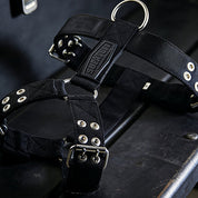 SUPATUFF® Strong Dog Harness Heavy Duty - Black