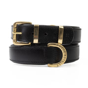 Hand Made Leather Dog Collar- Classic  Black & Brass (Regular Fit)