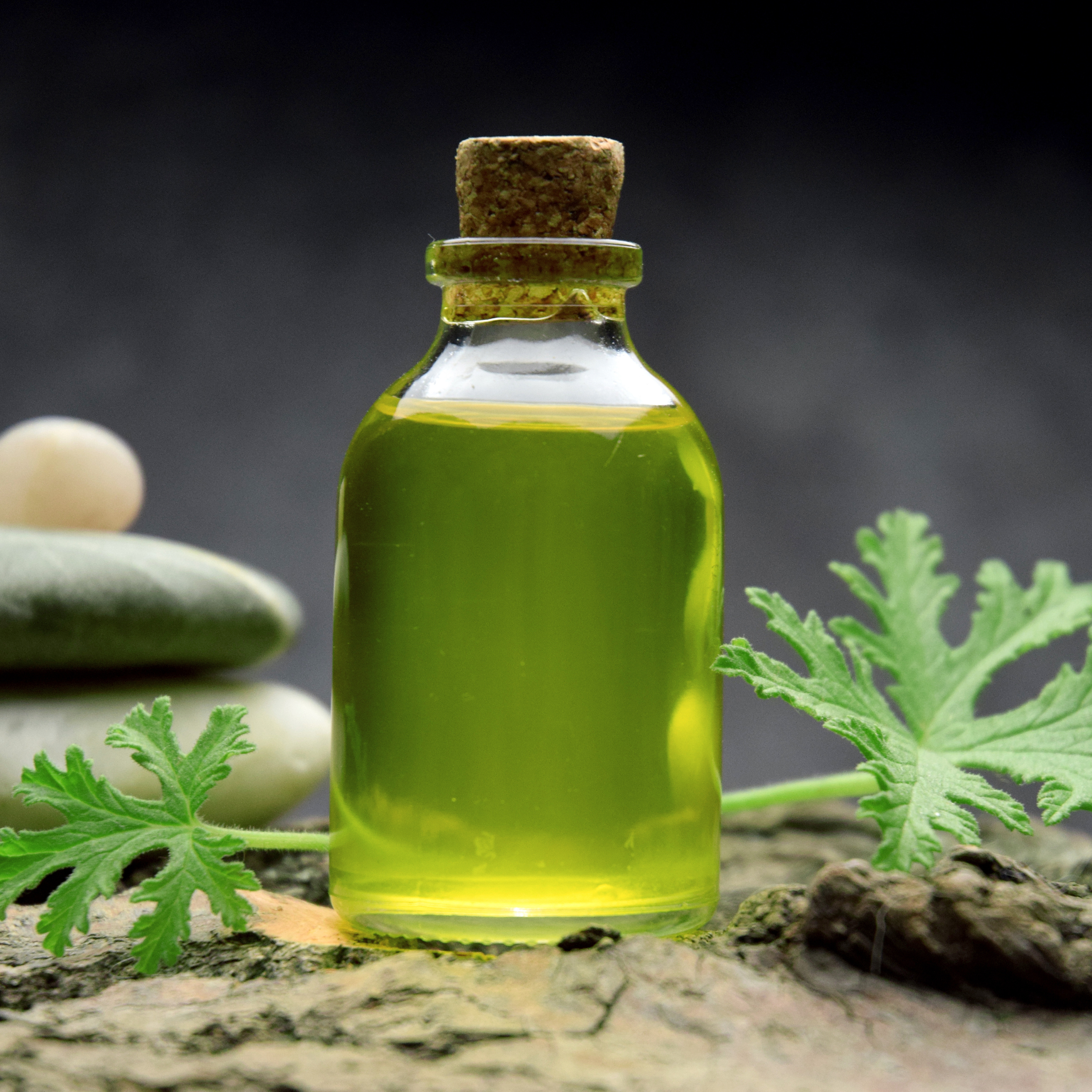 Citronella