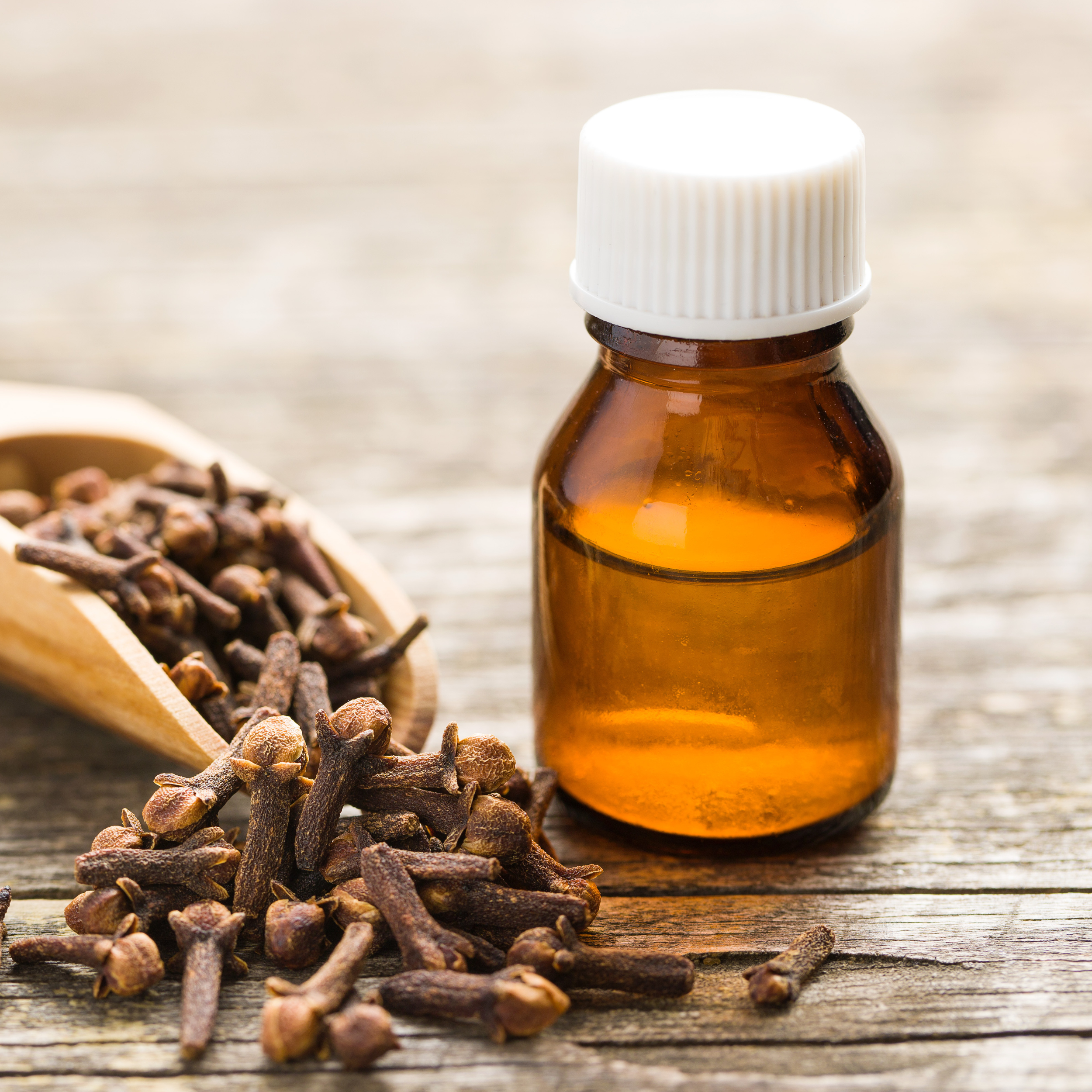 Clove Extract