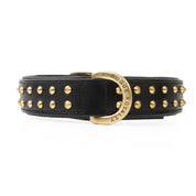 Hand Made Leather Dog Collar- RuffNeck Black & Brass (Regular Fit)