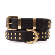 Hand Made Leather Dog Collar- RuffNeck Black & Brass (Regular Fit)