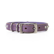 Hand Made Leather Dog Collar - Imperial Purple & Chrome (Slim Fit)