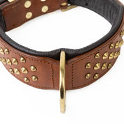Hand Made Leather Dog Collar - RuffNeck Brown and Brass (Wide Fit)