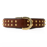 Hand Made Leather Dog Collar- RuffNeck Brown & Brass (Regular Fit)