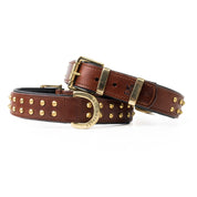 Hand Made Leather Dog Collar- RuffNeck Brown & Brass (Regular Fit)