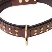 Hand Made Leather Dog Collar- RuffNeck Cherry & Brass (Regular Fit)