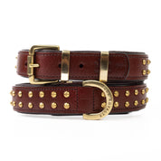Hand Made Leather Dog Collar- RuffNeck Cherry & Brass (Regular Fit)