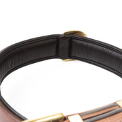 Leather Dog Collar- Classic Brown & Brass (Regular Fit)
