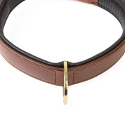 Leather Dog Collar- Classic Brown & Brass (Regular Fit)