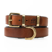 Leather Dog Collar- Classic Brown & Brass (Regular Fit)