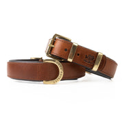 Leather Dog Collar- Classic Brown & Brass (Regular Fit)