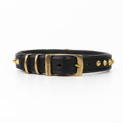 Hand Made Leather Dog Collar - Ruthless Black & Brass (Slim Fit)