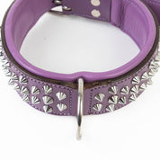 Hand Made Leather Dog Collar - Imperial Purple