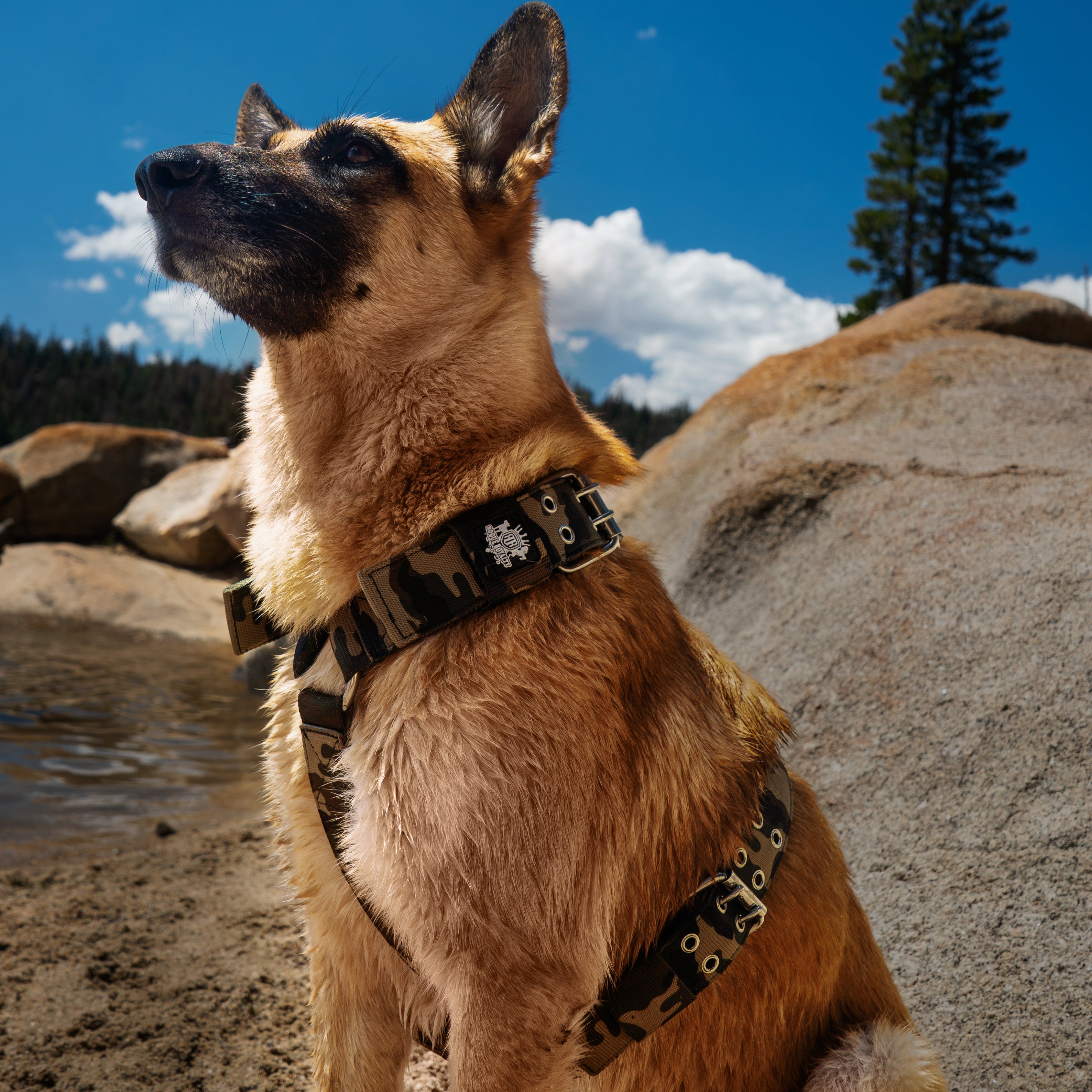 SUPATUFF® Dog Harness Heavy Duty Camo