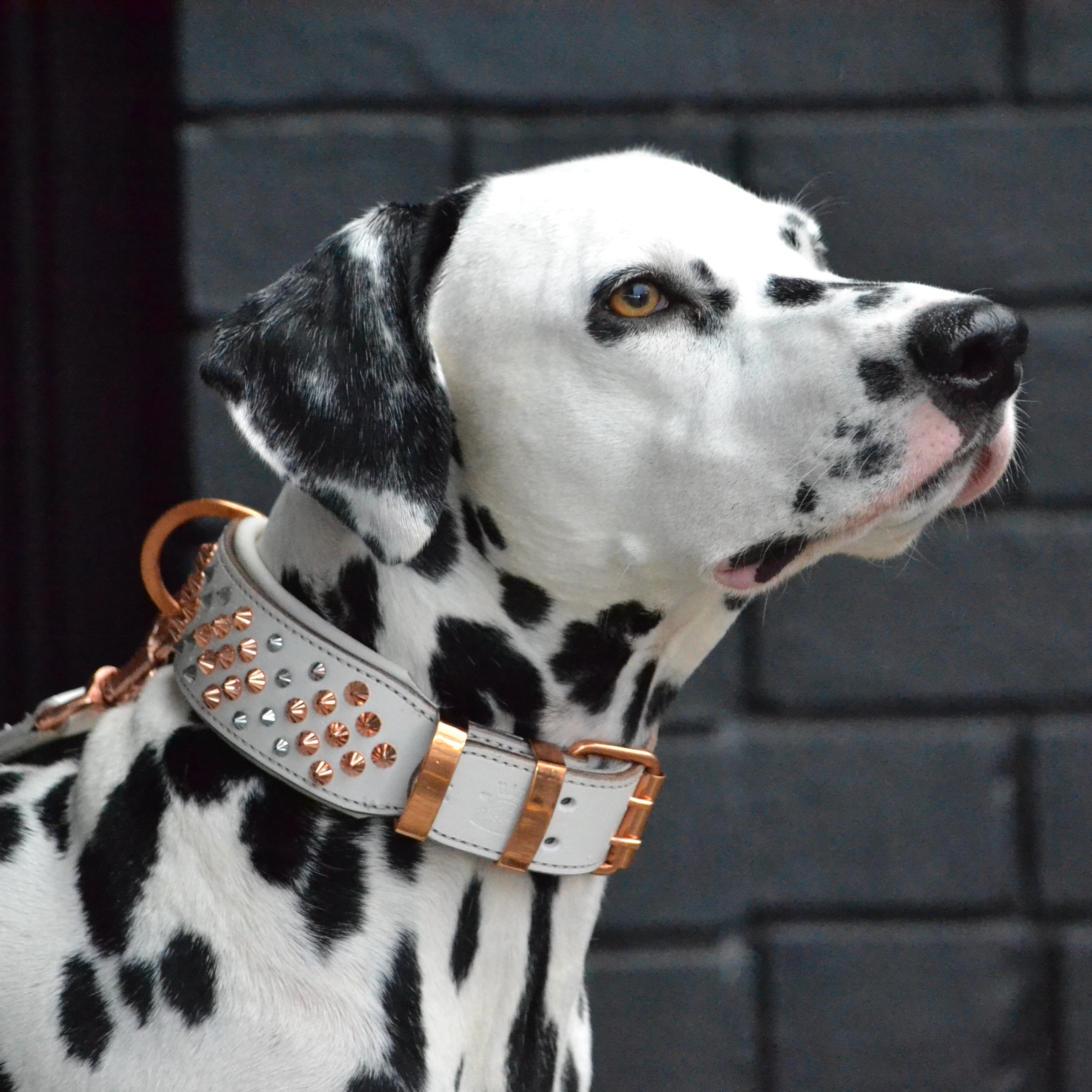 Hand Made Leather Dog Collar - ICED OUT ROSE GOLD (Wide Fit)