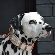 Hand Made Leather Dog Collar - ICED OUT ROSE GOLD (Wide Fit)