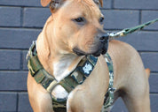 SUPATUFF® Strong Dog Harness Camo (Regular Fit)