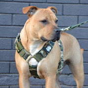 SUPATUFF® Strong Dog Harness Camo (Regular Fit)