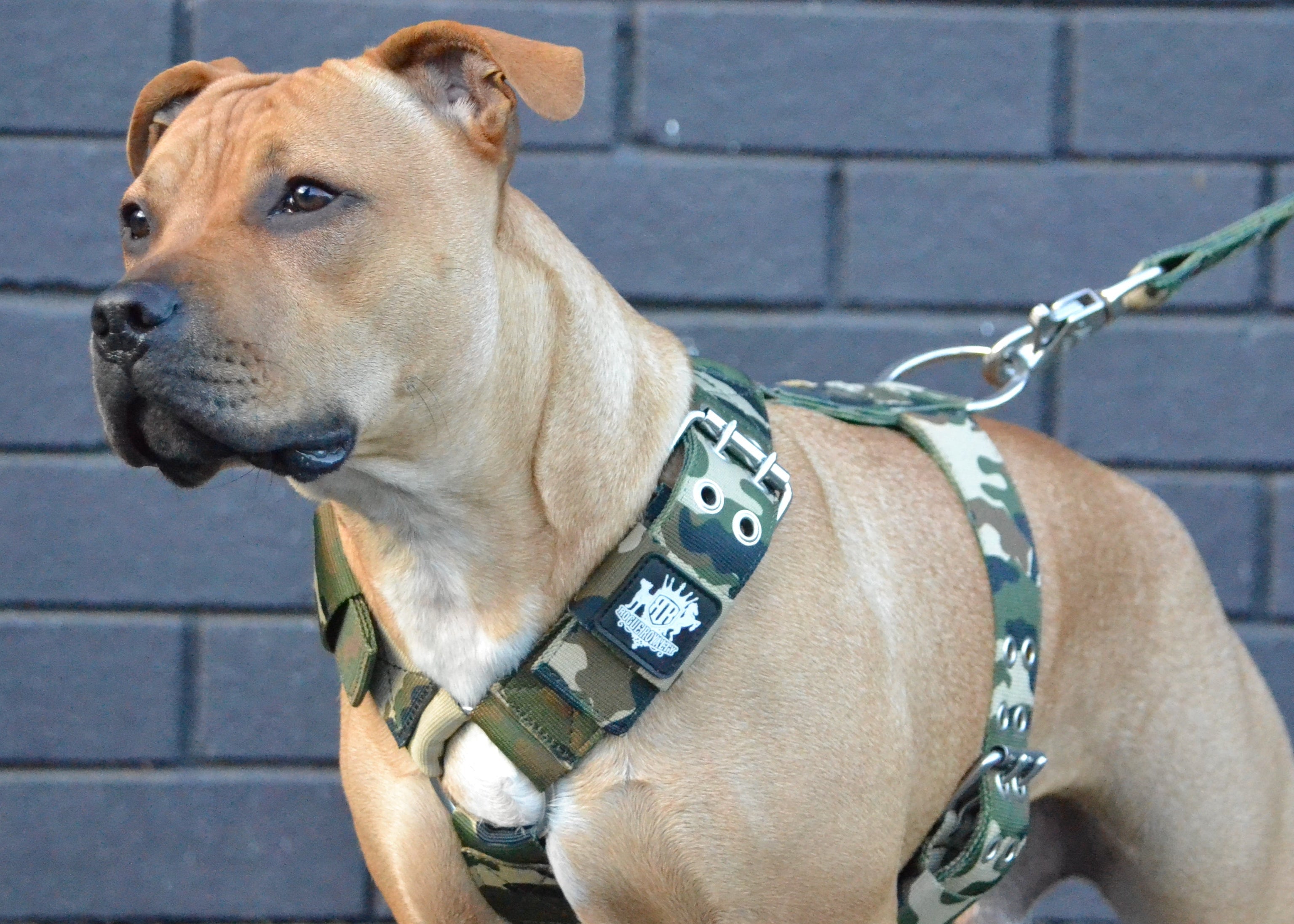 SUPATUFF® Strong Dog Harness Camo (Regular Fit)