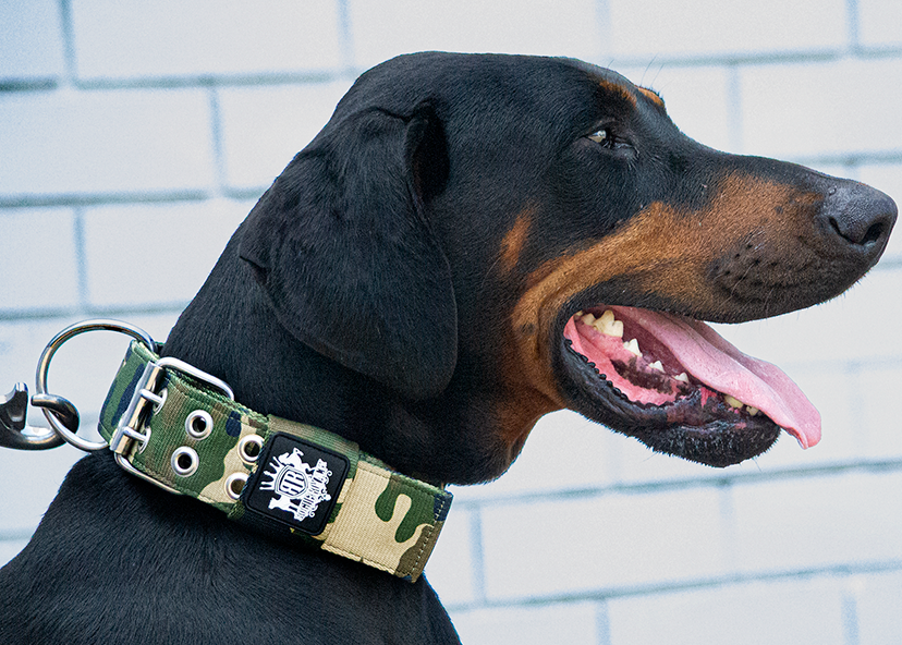 SUPATUFF® Strong Dog Collar Camo (Wide Fit)