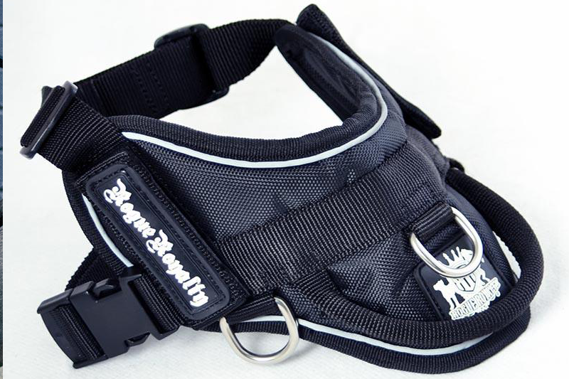 Dog-harness-quick-fit-black