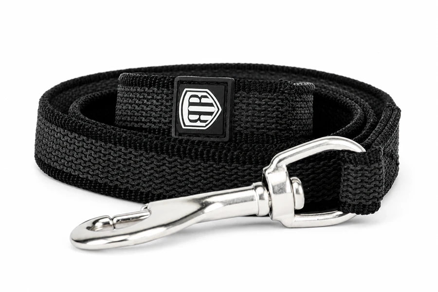 Rogue Royalty Dog Leash - Black Nylon Leash