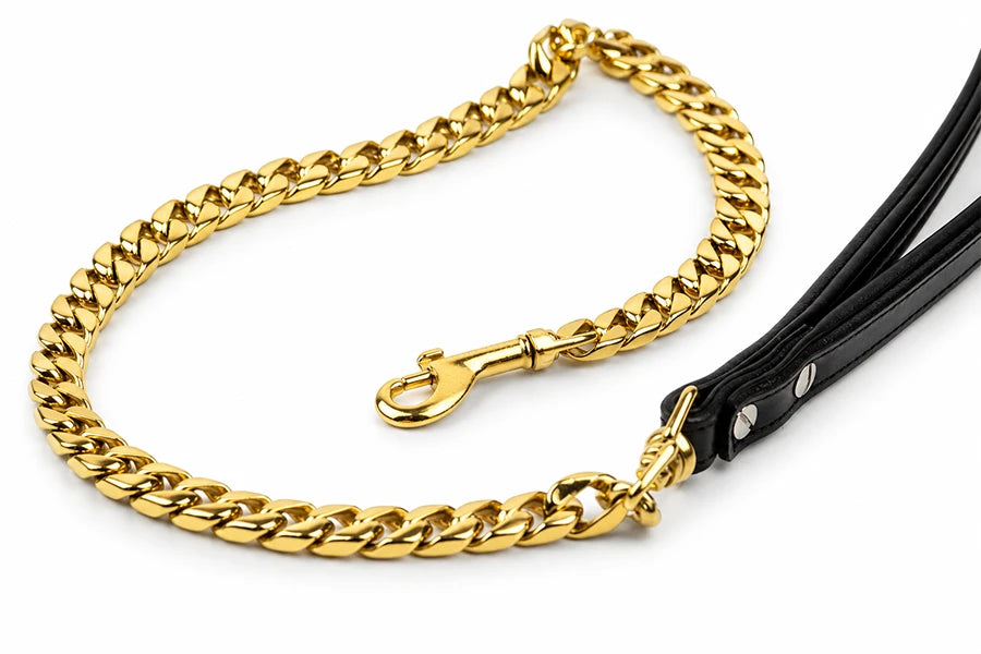 Gold Chain Dog Leash 