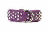 Hand Made Leather Dog Collar - Imperial Purple