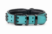 Hand Made Leather Dog Collar - Teal Leather and Black Metal