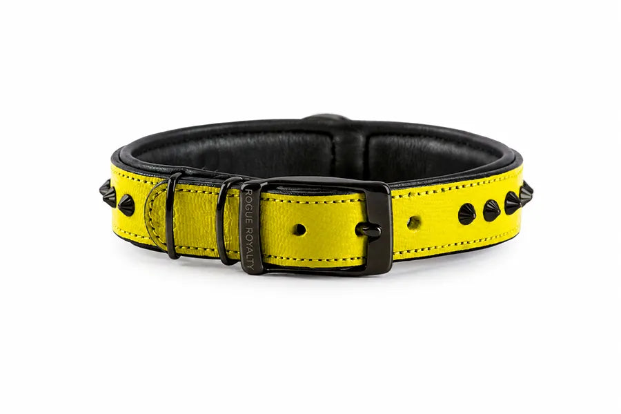 Hand Made Leather Dog Collar Yellow Leather, Black Metal and Slim Fit Size
