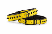 Hand Made Leather Dog Collar Yellow Leather, Black Metal and Slim Fit Size