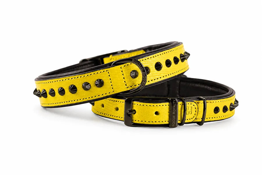Hand Made Leather Dog Collar Yellow Leather, Black Metal and Slim Fit Size