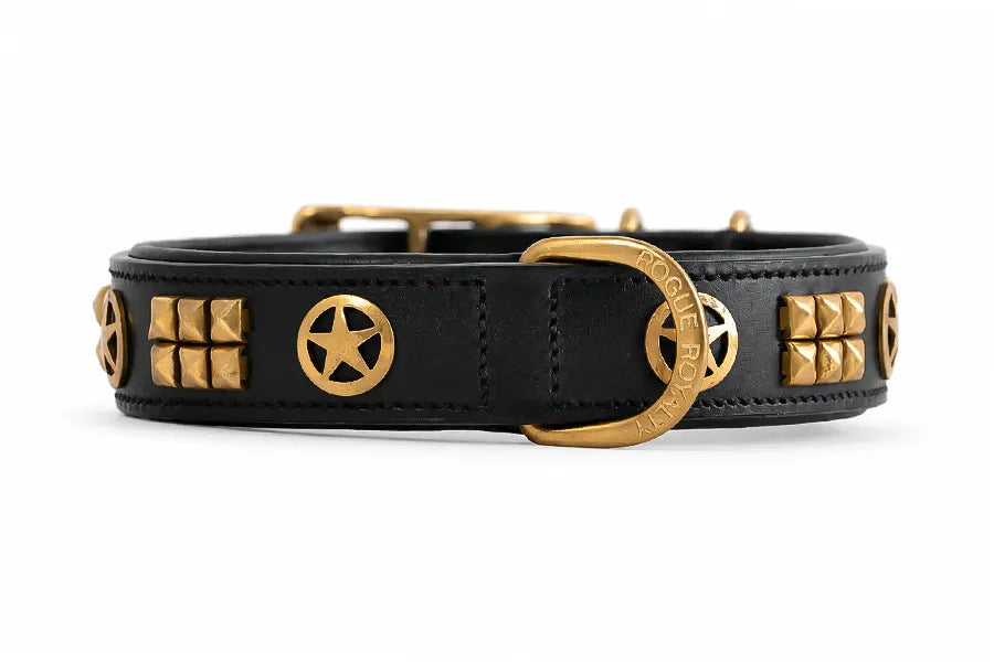 Hand Made Leather Dog Collar Black Leather & Brass Metal Regular Fit Size