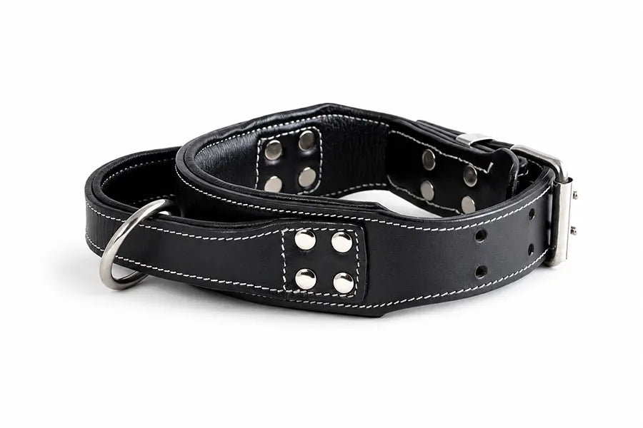Hand Made Leather Handle Dog Collar Wide Fit Size