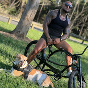 Large dog wearing quick fit dog harness on trail ride.