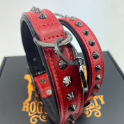 red dog collar